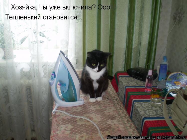 Котоматрица: Хозяйка, ты уже включила? Ооо!!! Тепленький становится...