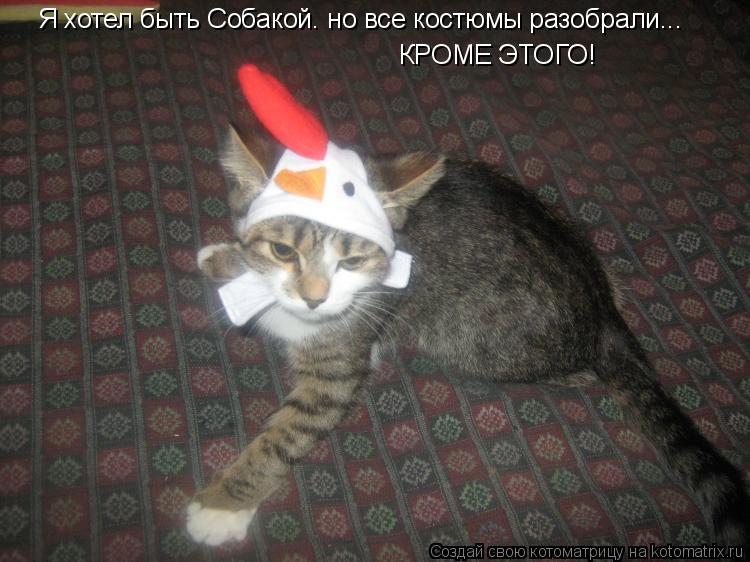 Я хотел быть Собакой. но все костюмы разобрали... КРОМЕ ЭТОГО!... Котоматрица: Я хотел быть Собакой. но все костюмы разобрали... КРОМЕ ЭТОГО!