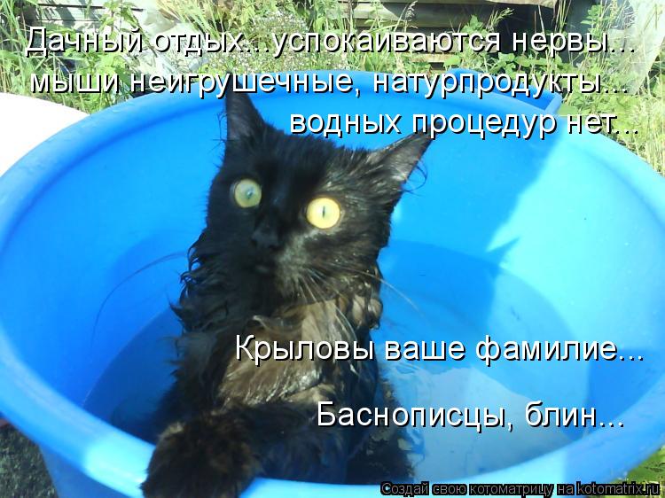 Котоматрица: Дачный отдых...успокаиваются нервы... мыши неигрушечные, натурпродукты... Крыловы ваше фамилие... Баснописцы, блин... водных процедур нет...
