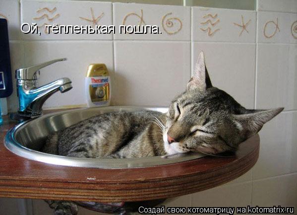Ой, тёпленькая пошла.... Котоматрица: Ой, тёпленькая пошла.