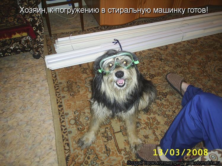 Котоматрица: Хозяин, к погружению в стиральную машинку готов!