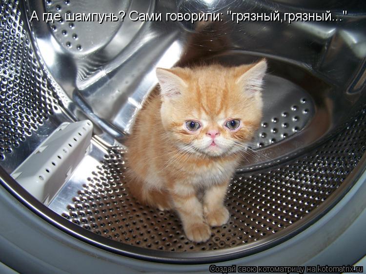 А где шампунь? Сами говорили: "грязный,грязный..."... Котоматрица: А где шампунь? Сами говорили: "грязный,грязный..."