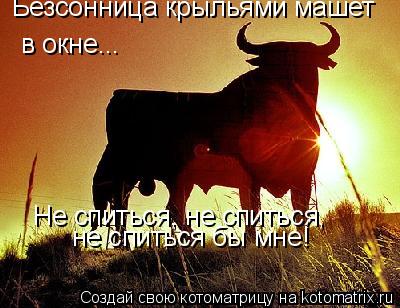 Котоматрица: Безсонница крыльями машет  в окне... Не спиться, не спиться,  не спиться бы мне!