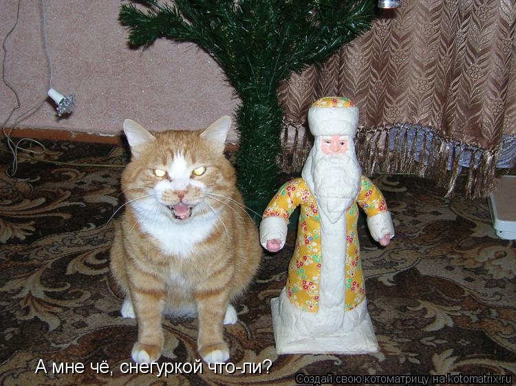 А мне чё, снегуркой что-ли?... Котоматрица: А мне чё, снегуркой что-ли?