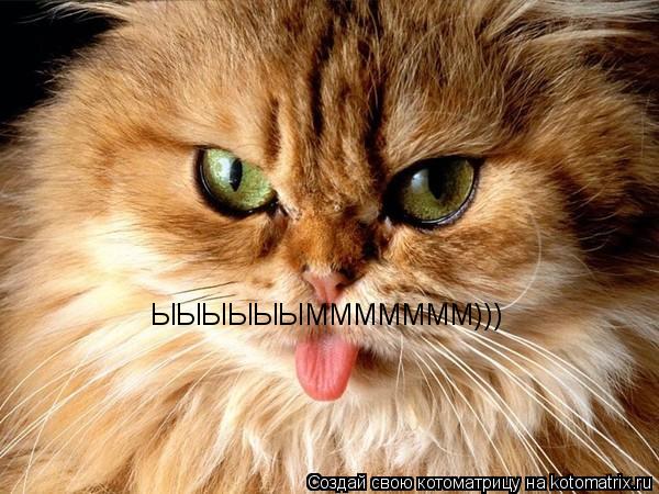 ЫЫЫЫЫЫМММММММ)))... Котоматрица: ЫЫЫЫЫЫМММММММ)))