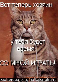 Вот теперь хозяин у тебя будет время СО МНОЙ ИГРАТЬ!... Котоматрица: Вот теперь хозяин у тебя будет время СО МНОЙ ИГРАТЬ!