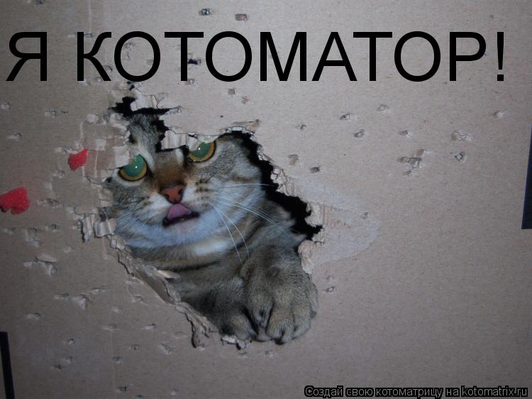 Я КОТОМАТОР!... Котоматрица: Я КОТОМАТОР!