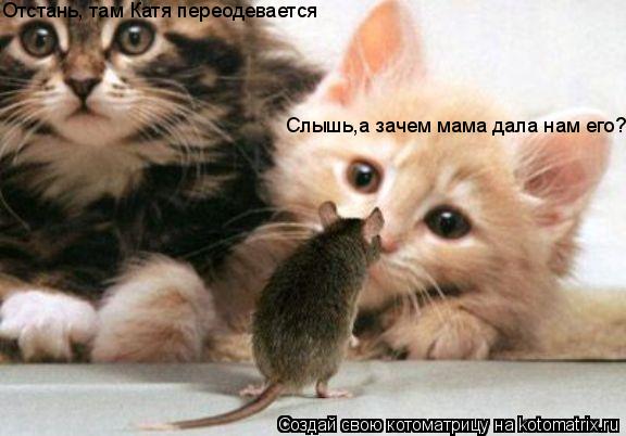 Слышь,а зачем мама дала нам его? Отстань, там Катя переодевается... Котоматрица: Слышь,а зачем мама дала нам его? Отстань, там Катя переодевается