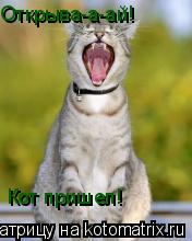 Котоматрица: Открыва-а-ай!  Кот пришел!