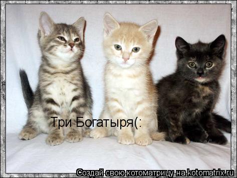 Три Богатыря(:... Котоматрица: Три Богатыря(:
