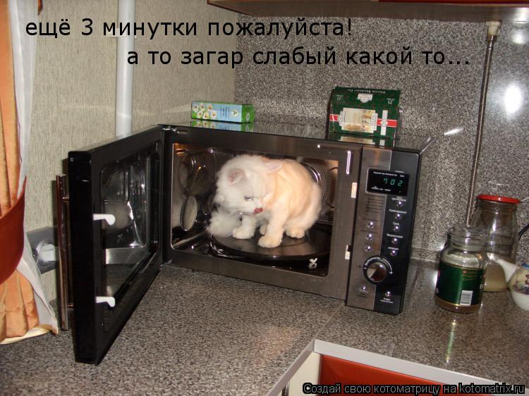 Котоматрица: ещё 3 минутки пожалуйста! а то загар слабый какой то...