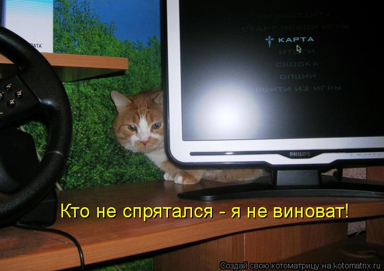 Кто не спрятался - я не виноват!... Котоматрица: Кто не спрятался - я не виноват!