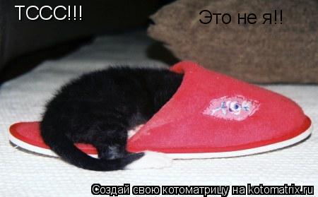 Котоматрица: ТССС!!! Это не я!!
