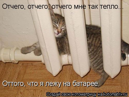 Отчего, отчего, отчего мне так тепло... Оттого, что я лежу на батарее.... Котоматрица: Отчего, отчего, отчего мне так тепло... Оттого, что я лежу на батарее.