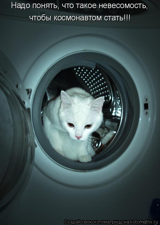 Котоматрица: Надо понять, что такое невесомость,  чтобы космонавтом стать!!!