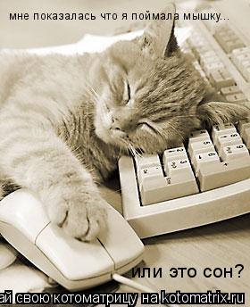 мне показалась что я поймала мышку... или это сон?... Котоматрица: мне показалась что я поймала мышку... или это сон?
