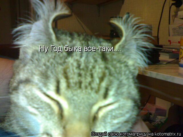 Ну Год быка все-таки....... Котоматрица: Ну Год быка все-таки....
