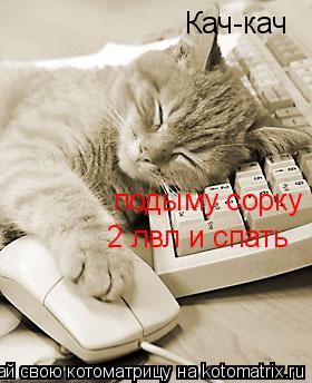Кач-кач подыму сорку 2 лвл и спать... Котоматрица: Кач-кач подыму сорку 2 лвл и спать