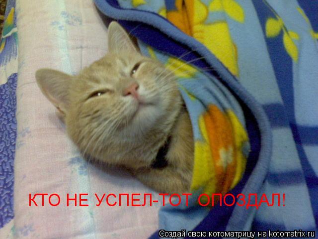 Котоматрица: КТО НЕ УСПЕЛ-ТОТ ОПОЗДАЛ!