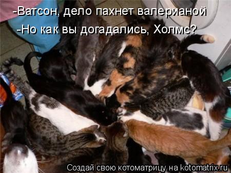 -Но как вы догадались, Холмс? -Ватсон, дело пахнет валерианой... Котоматрица: -Но как вы догадались, Холмс? -Ватсон, дело пахнет валерианой