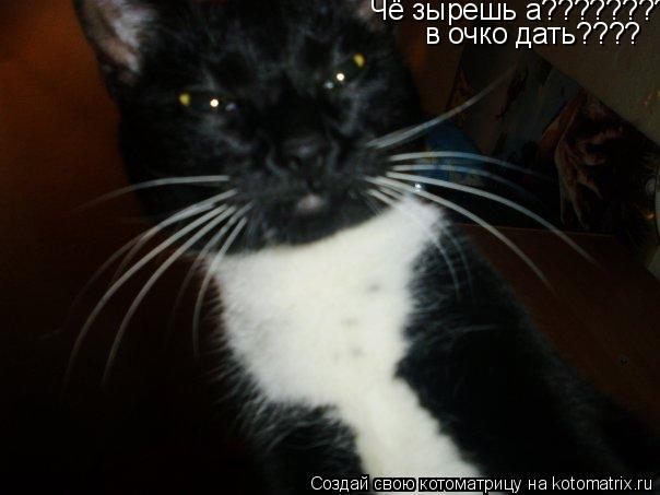 Котоматрица: Чё зырешь а????????????? в очко дать????