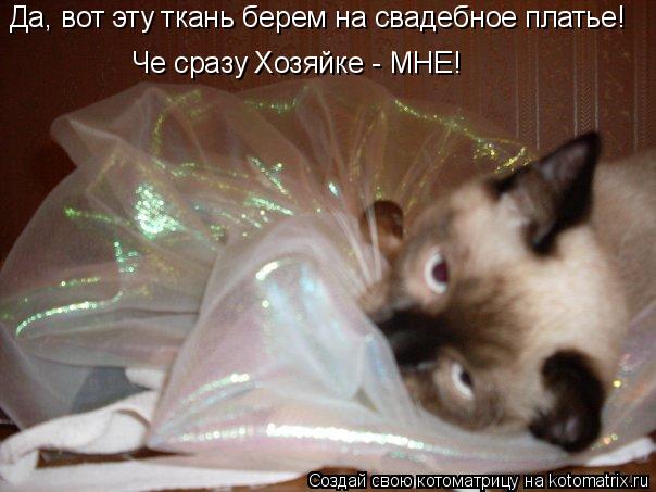 Котоматрица: Да, вот эту ткань берем на свадебное платье! Че сразу Хозяйке - МНЕ!