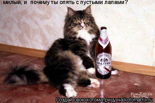 милый, и почему ты опять с пустыми лапами?... Котоматрица: милый, и почему ты опять с пустыми лапами?