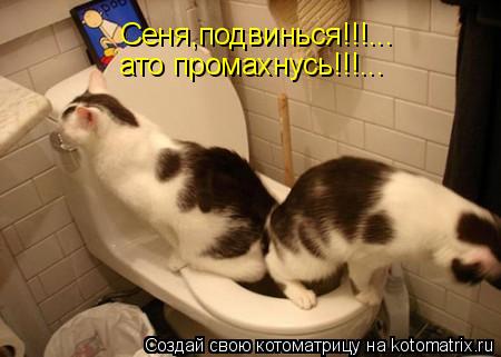 Сеня,подвинься!!!... ато промахнусь!!!...... Котоматрица: Сеня,подвинься!!!... ато промахнусь!!!...