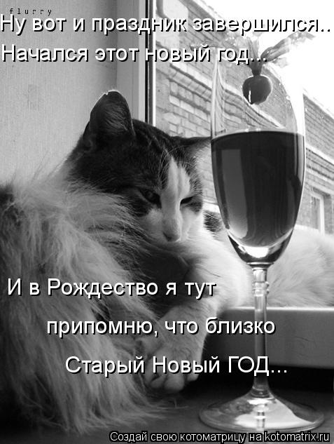 Котоматрица: Ну вот и праздник завершился... Начался этот новый год... И в Рождество я тут припомню, что близко Старый Новый ГОД...