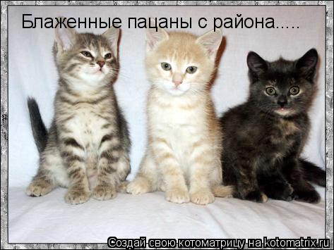 Котоматрица: Блаженные пацаны с района.....
