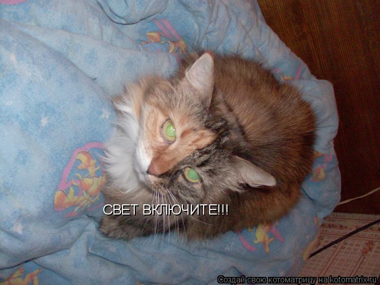 СВЕТ ВКЛЮЧИТЕ!!!... Котоматрица: СВЕТ ВКЛЮЧИТЕ!!!