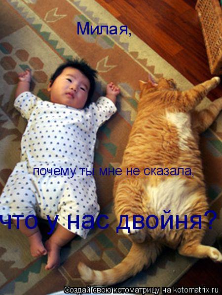 Котоматрица: Милая,  почему ты мне не сказала,  что у нас двойня?