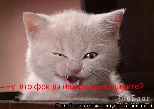 --Ну што фрицы ифармацыю дадите?... Котоматрица: --Ну што фрицы ифармацыю дадите?