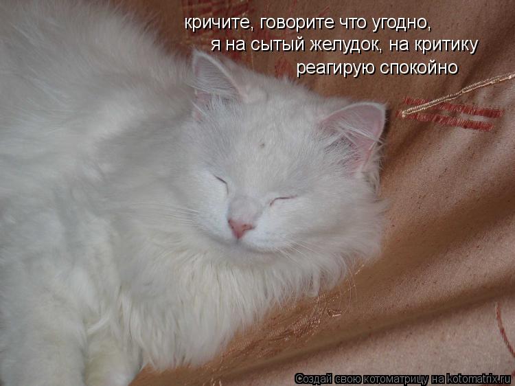 кричите, говорите что угодно, я на сытый желудок, на критику реагирую спокойно... Котоматрица: кричите, говорите что угодно, я на сытый желудок, на критику реагирую спокойно