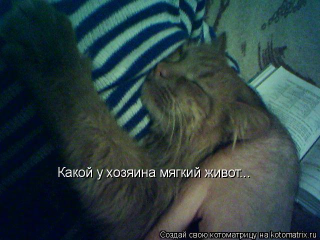 Какой у хозяина мягкий живот...... Котоматрица: Какой у хозяина мягкий живот...