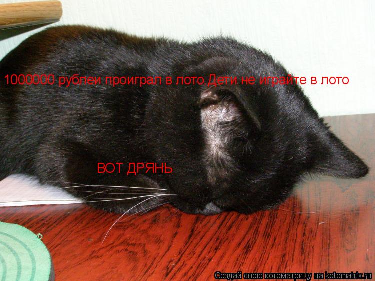 1000000 рублеи проиграл в лото.Дети не играйте в лото ВОТ ДРЯНЬ... Котоматрица: 1000000 рублеи проиграл в лото.Дети не играйте в лото ВОТ ДРЯНЬ