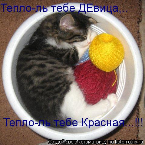 Тепло-ль тебе ДЕвица,.. Тепло-ль тебе Красная...!!!... Котоматрица: Тепло-ль тебе ДЕвица,.. Тепло-ль тебе Красная...!!!