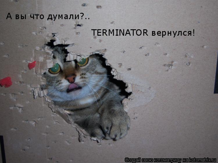 Котоматрица: А вы что думали?.. TERMINATOR вернулся!