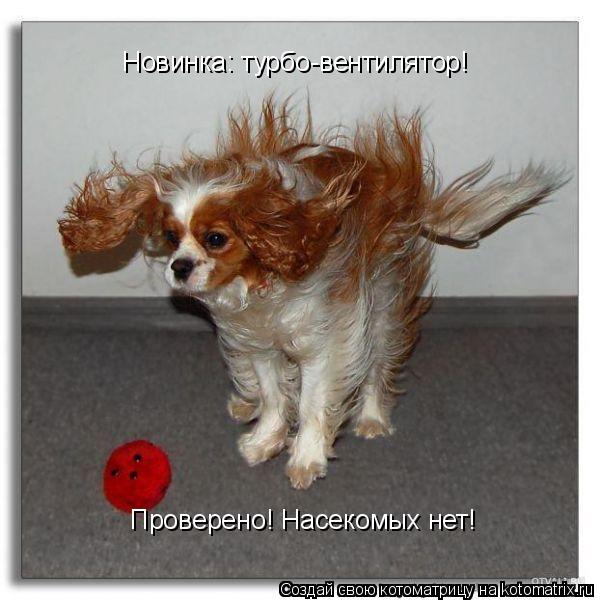 Котоматрица: Новинка: турбо-вентилятор! Проверено! Насекомых нет!