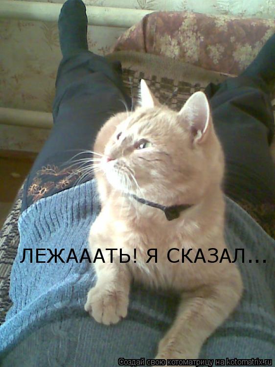 Котоматрица: ЛЕЖАААТЬ! Я СКАЗАЛ...