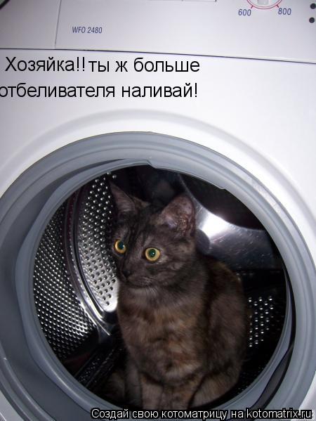Котоматрица: Хозяйка!! ты ж больше  отбеливателя наливай!