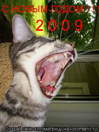 Котоматрица: С НОВЫМ ГОДОМ ! ! ! 2 0 0 9