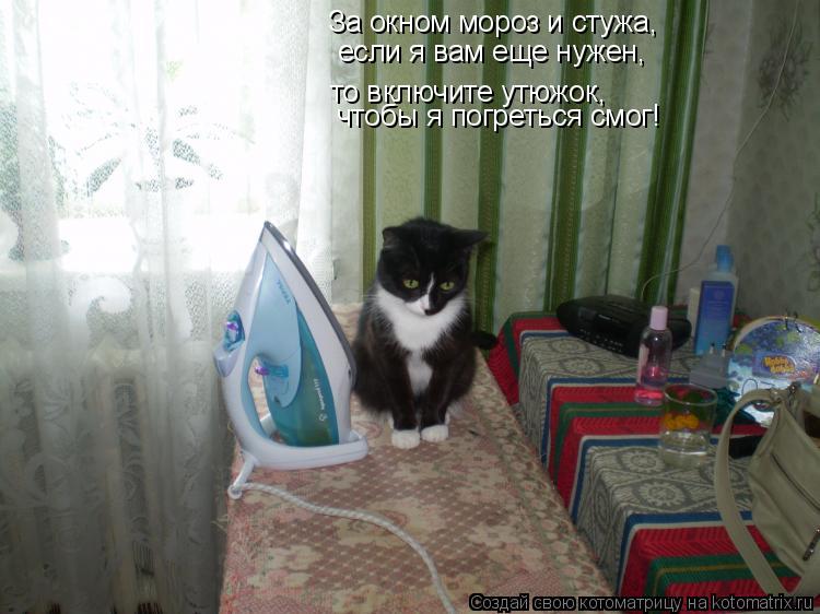 За окном мороз и стужа, если я вам еще нужен, то включите утюжок, чтобы я погреться смог!... Котоматрица: За окном мороз и стужа, если я вам еще нужен, то включите утюжок, чтобы я погреться смог!