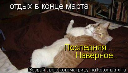 Котоматрица: отдых в конце марта Последняя.... Наверное..