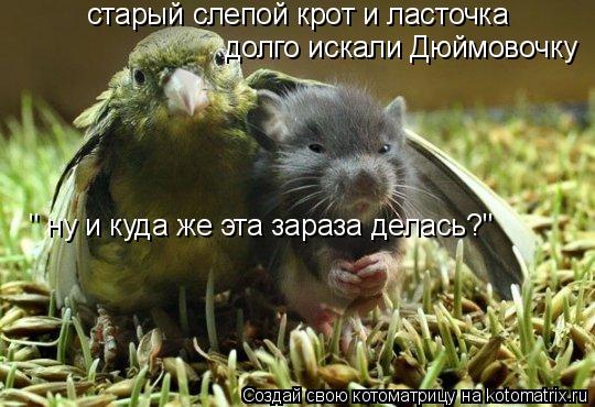 старый слепой крот и ласточка долго искали Дюймовочку " ну и куда же эта зараза делась?"... Котоматрица: старый слепой крот и ласточка долго искали Дюймовочку " ну и куда же эта зараза делась?"