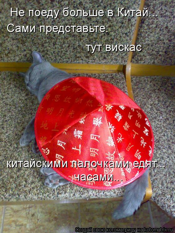 Котоматрица: Не поеду больше в Китай... Сами представьте: тут вискас  китайскими палочками едят... часами...