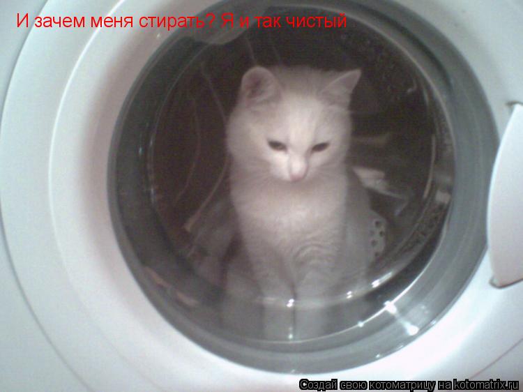 И зачем меня стирать? Я и так чистый... Котоматрица: И зачем меня стирать? Я и так чистый