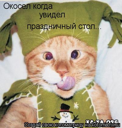 Окосел когда увидел праздничный стол...... Котоматрица: Окосел когда увидел праздничный стол...