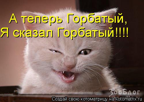 А теперь Горбатый, Я сказал Горбатый!!!!... Котоматрица: А теперь Горбатый, Я сказал Горбатый!!!!