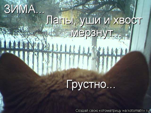 ЗИМА... Лапы, уши и хвост мерзнут... Грустно...... Котоматрица: ЗИМА... Лапы, уши и хвост мерзнут... Грустно...